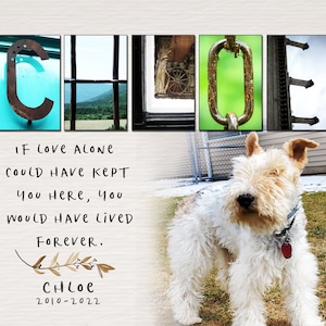 Joie added a photo of their purchase