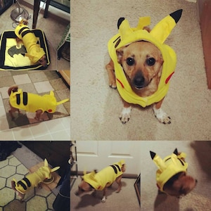 PJ added a photo of their purchase