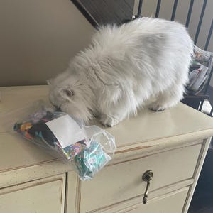 Sarah added a photo of their purchase