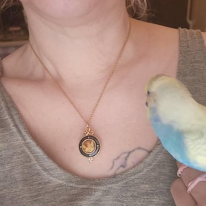 Nansi added a photo of their purchase
