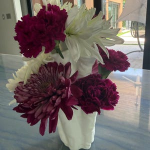 Megan’s customer photo of Coral Vase V2