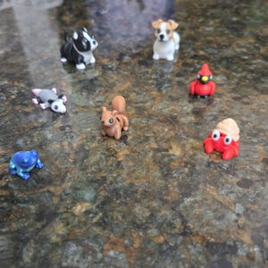 Sarah added a photo of their purchase