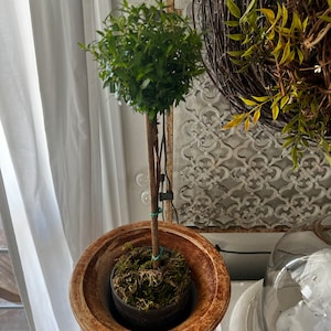 Christine ha añadido una foto de su compra