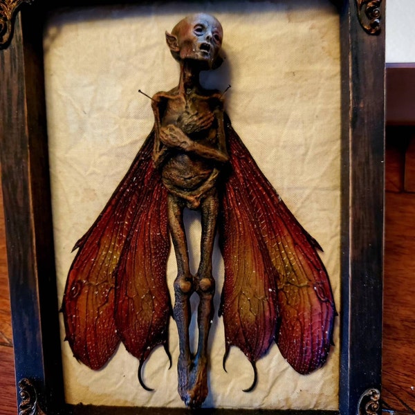 Mummified Dead Fairy Shadow Box – Cryptid Specimen, Gothic Curiosity ...