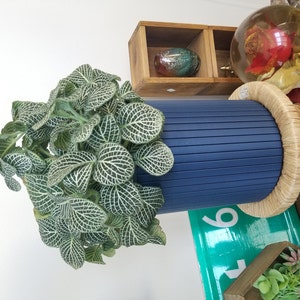 Alicia added a photo of their purchase