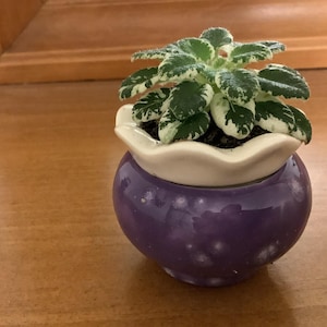 Lauren added a photo of their purchase