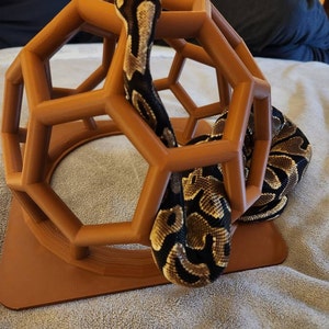 Rae added a photo of their purchase