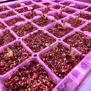 Danielle ha añadido una foto de su compra