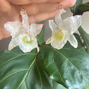 Monica adicionaram uma foto da sua compra