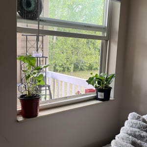 Tory added a photo of their purchase