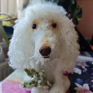 chloe added a photo of their purchase