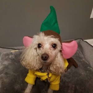 ratatouille dog costume
