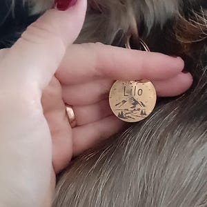 Sarah added a photo of their purchase