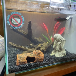 Avery added a photo of their purchase