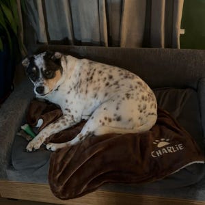 simplydc1 added a photo of their purchase