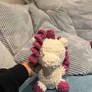 Raeann heeft een foto van de aankoop toegevoegd