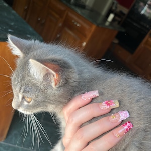 Hannah heeft een foto van de aankoop toegevoegd