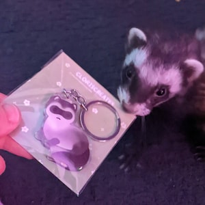 InformativeSilver heeft een foto van de aankoop toegevoegd