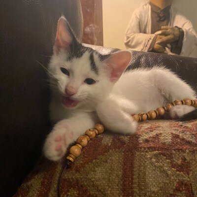 10.75 Wood Norse Heathen Asatru Calendar Wheel of the - Etsy