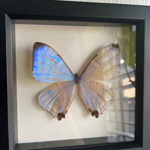Kim added a photo of their purchase