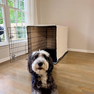 Shelby added a photo of their purchase