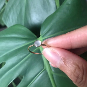 Dionne added a photo of their purchase