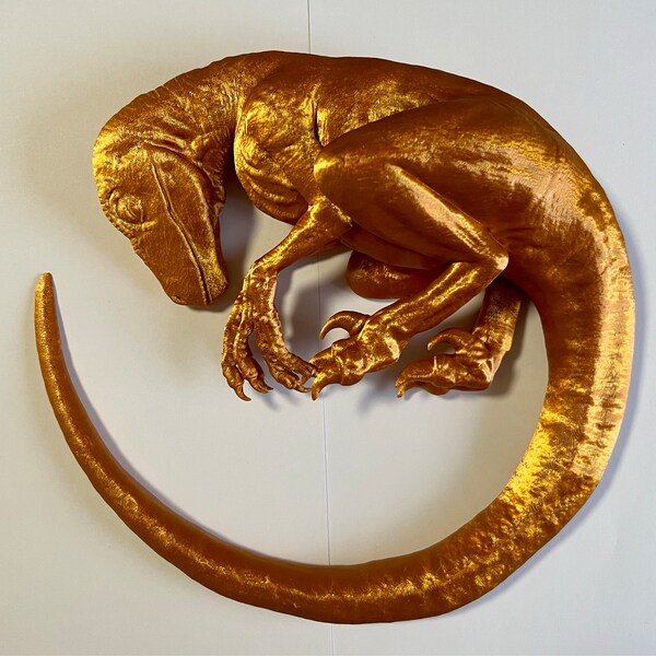 Sleeping Baby Velociraptor Art - Dinosaur - 3D Printed - Multiple ...