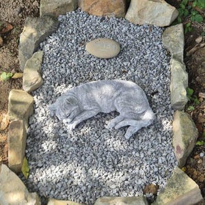 Nicolas added a photo of their purchase