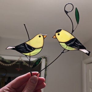 Nancy added a photo of their purchase