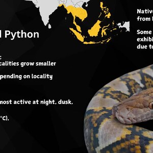 Jordyn adicionaram uma foto da sua compra