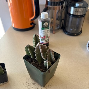 Joe added a photo of their purchase