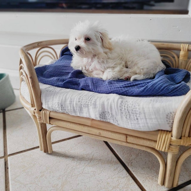 Mini papasan chair for dogs online