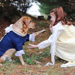Dog Costume Dog Alexander Hamilton Costume Dog Halloween Costume
