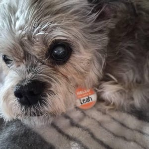 Cynthia added a photo of their purchase