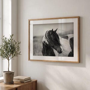 Laura heeft een foto van de aankoop toegevoegd