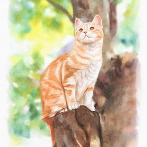 Leo dodał(a) zdjęcie swoich zakupów