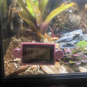 Karlee added a photo of their purchase