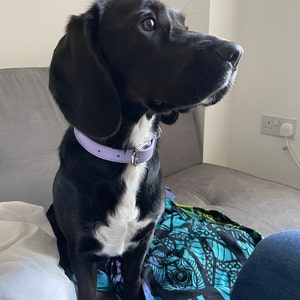 Scarlett added a photo of their purchase