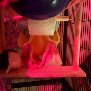 Amie adicionaram uma foto da sua compra