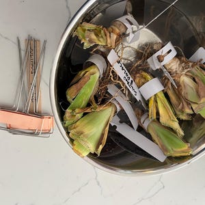 Ellen heeft een foto van zijn/haar aankoop toegevoegd