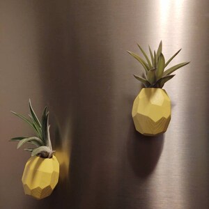 Andrea a ajouté une photo de son achat