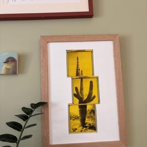 Phoenix added a photo of their purchase