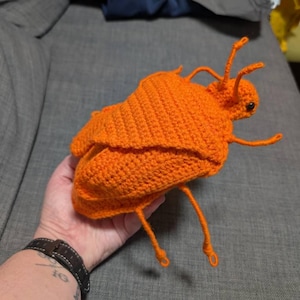Holly added a photo of their purchase