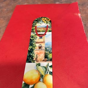 Bernadette added a photo of their purchase