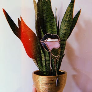 Holly added a photo of their purchase