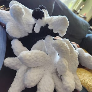 Sheri added a photo of their purchase
