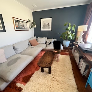 Cockroach hat ein Foto des gekauften Artikels hinzugefügt