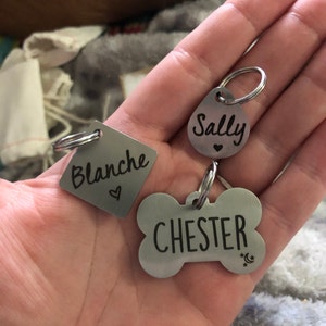 Molly added a photo of their purchase