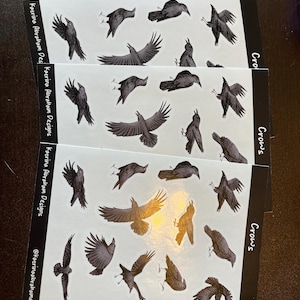 Jace added a photo of their purchase