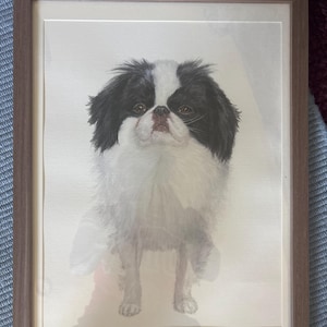 katrina added a photo of their purchase